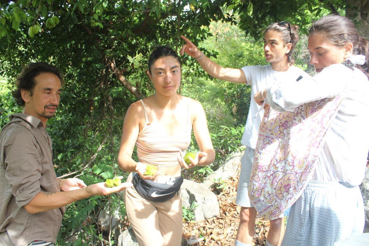 Cham Island Smiles Homestay Tân Hiệ المظهر الخارجي الصورة